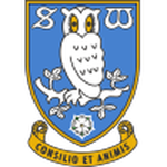 Sheffield Wednesday flag