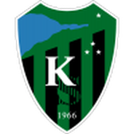Kocaelispor team flag