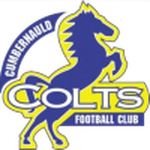 Cumbernauld Colts team flag