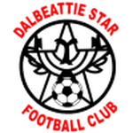 Dalbeattie Star team flag