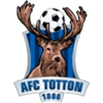 AFC Totton team flag