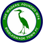 Biggleswade team flag