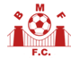 Bristol Manor Farm team flag