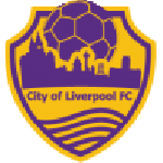 City of Liverpool team flag