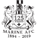 Marine team flag