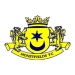 Moneyfields team flag