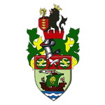 Runcorn Linnets team flag