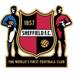 Sheffield team flag