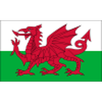 Wales team flag