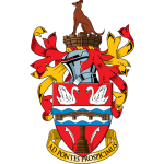 Staines Town team flag