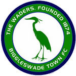 Biggleswade Town team flag