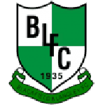 Blackfield & Langley team flag