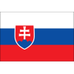 Slovakia team flag