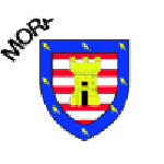 Morpeth Town team flag