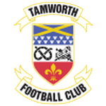 Tamworth team flag