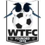 Wimborne Town team flag