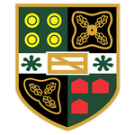 Yate Town team flag
