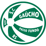 Gaúcho team flag