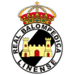 Linense team flag