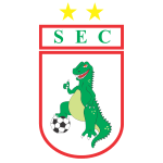 Sousa team flag