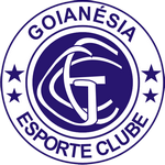 Goianésia team flag