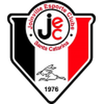 Joinville team flag