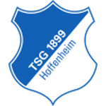 Hoffenheim U19 team flag