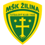Žilina U19 team flag