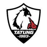 Tatung team flag