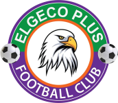 Elgeco Plus team flag