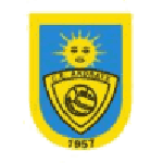 Andratx team flag