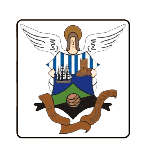 Barquereño team flag