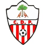 Pedroñeras team flag
