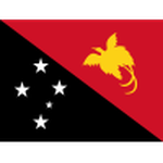 Papua New Guinea team flag