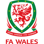 Wales U21 team flag