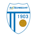 Schwechat team flag