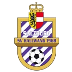 Hallwang team flag