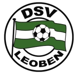 Leoben team flag