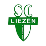 Liezen team flag