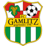 Union RB Weinland Gamlit team flag