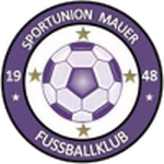 Union Mauer team flag