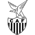Fénix team flag