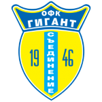 Gigant Saedinenie team flag