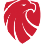 Ishøj team flag