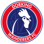 Dorking Wanderers team flag
