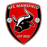 AFC Mansfield team flag
