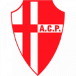 Padova team flag