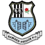 Bashley team flag