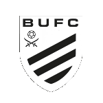 Bexhill United team flag