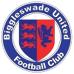 Biggleswade United team flag